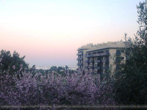 Apartaments Las Carolinas Sant Carlos de la Ràpita Zewnętrze zdjęcie